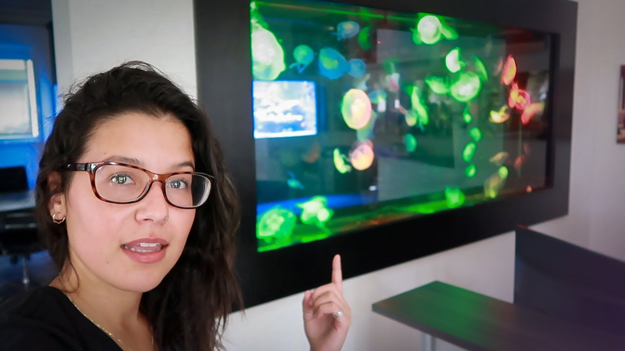 Almost Bought a PET Jellyfish..