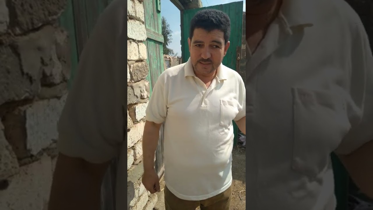 مقادير عجينة الخميرة البيرة وأهميتها في الحفاظ على النحل٠