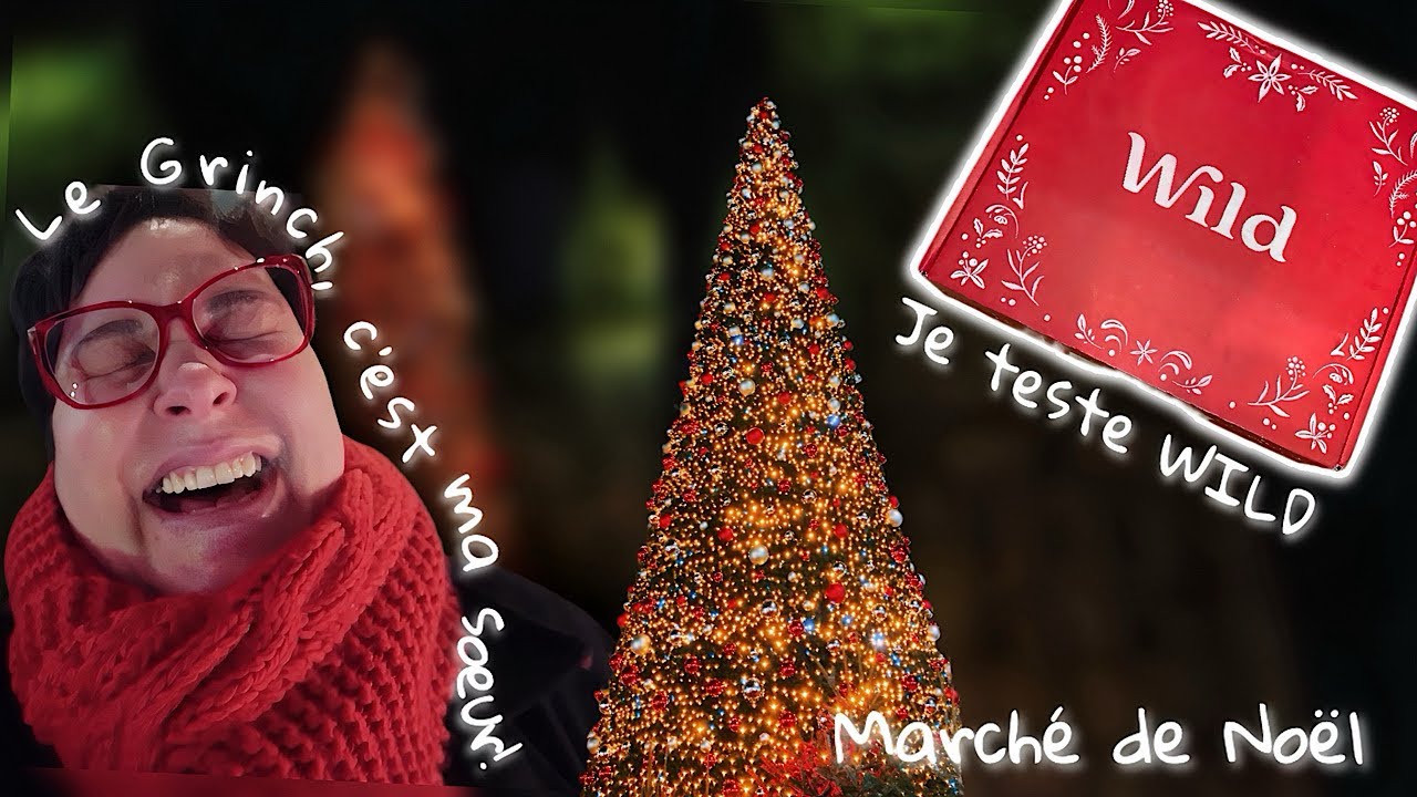 ꓦ𐌋𐌏Ᏽ ✦ Marché de Noël de Rouen, je découvre Wild, je me suis pesée & la chute du concept Vlogmas!
