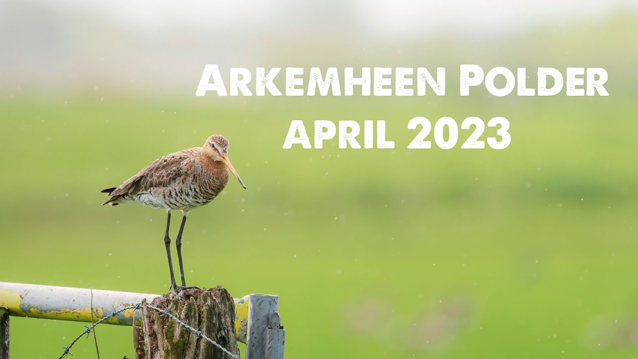 April 2023 Polder Arkemheen
