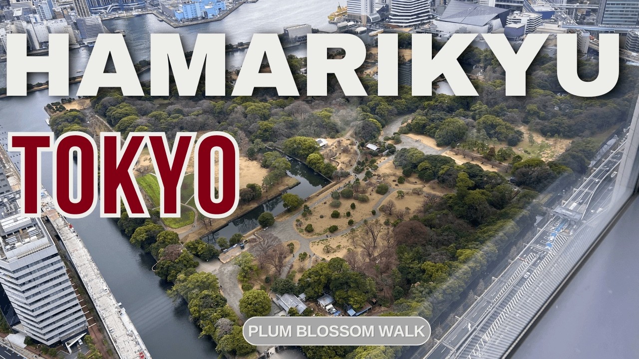 Hamarikyu Garden Plum Blossom Walk | 4K Tokyo Japanese Garden Tour 2026