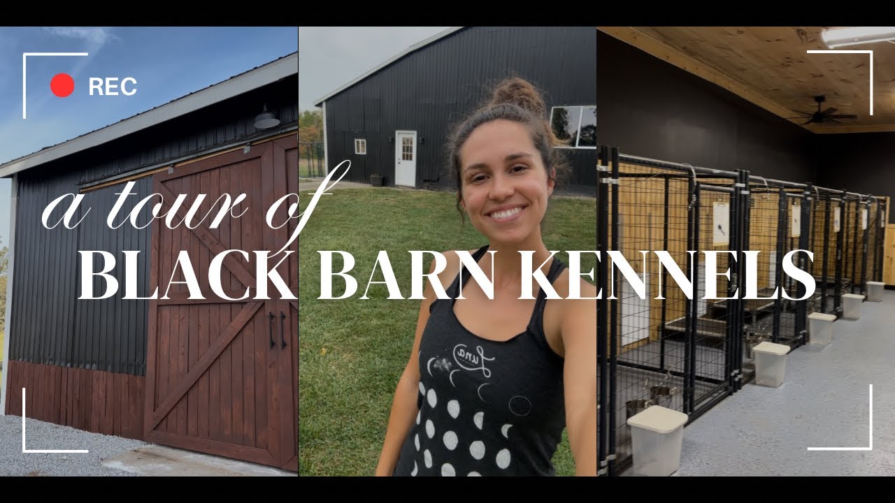 Wycieczka po Black Barn Kennels &mdash; ośrodek dla ps&oacute;w