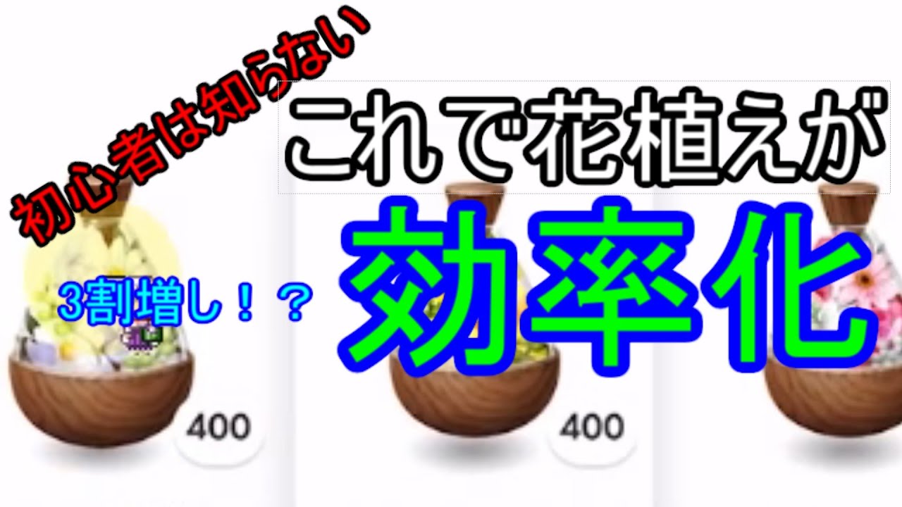 初心者は知らない？花植えの基本知識を解説します