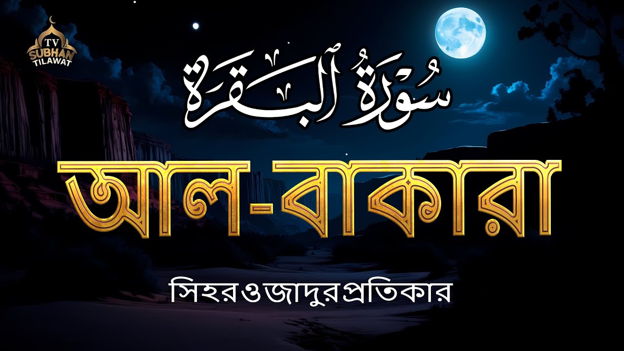 সবচেয়ে হৃদয়স্পর্শী সূরা বাকারা তেলাওয়াত 🌿 কুরআনের আলো ও শান্তির বার্তা | Surah Al Baqarah 💖