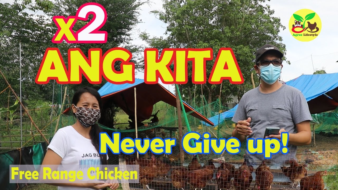 20yr OLD FREE RANGE CHICKEN FARMER | NEW IDEAS & TECHNOLOGY
