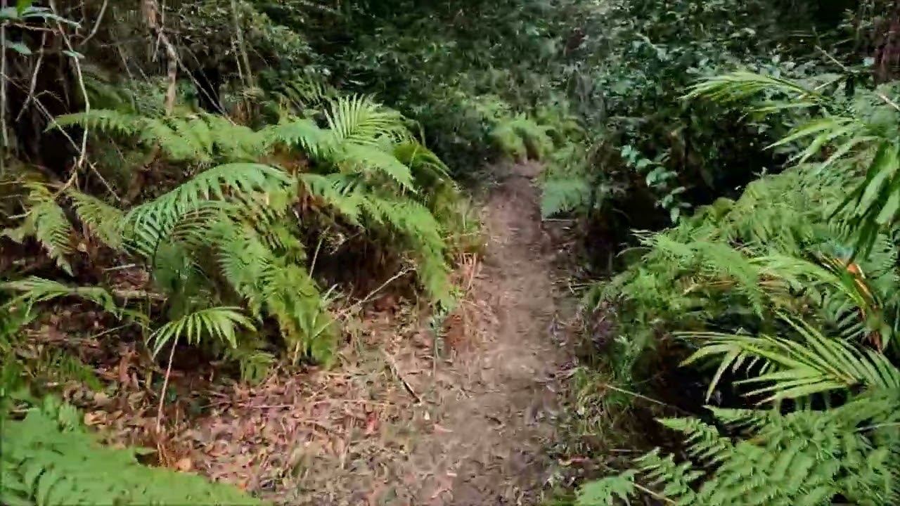 Mt Mee Gantry to Somerset Lookout Pt 1