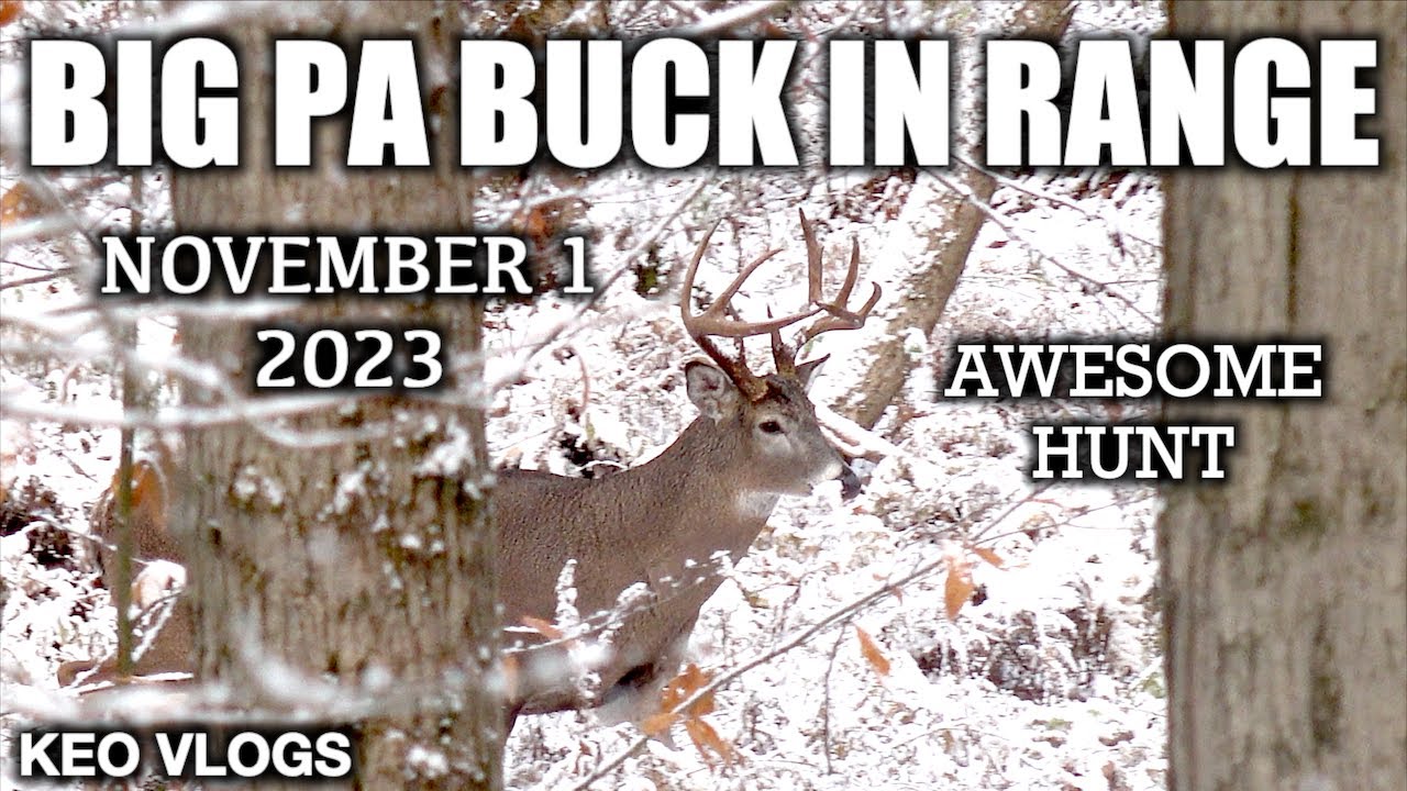 BIG Pennsylvania Buck At 45 Yards!