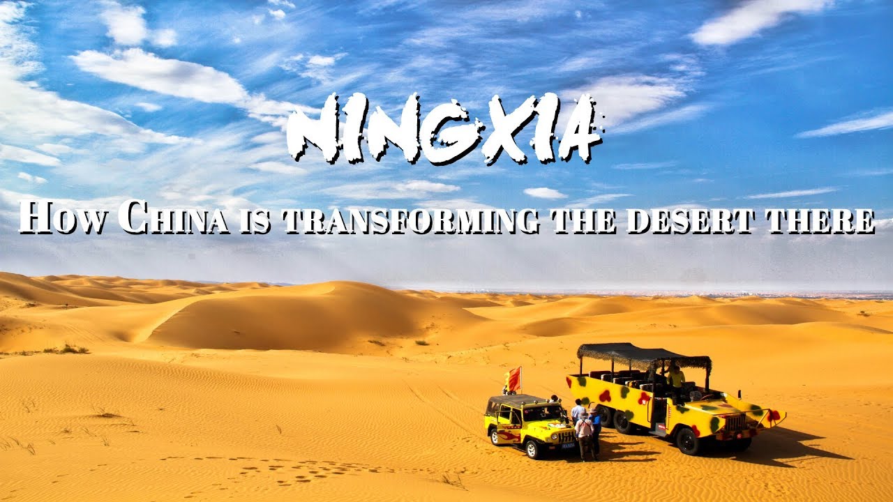 How China transformed its desert into a fruit growing oasis