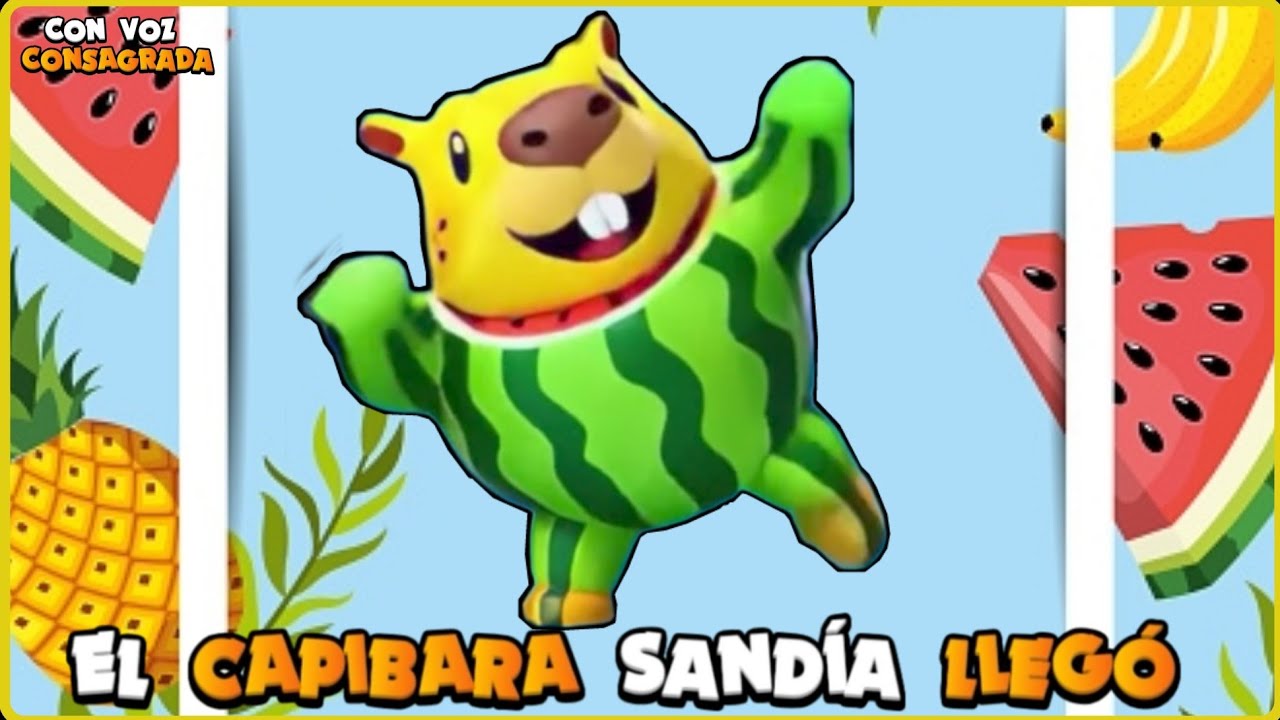 🐹🍉 EL CAPIBARBUZZA MELOTONATA SE LA RIFA EN RANGO PLATINO 🔵⚡️