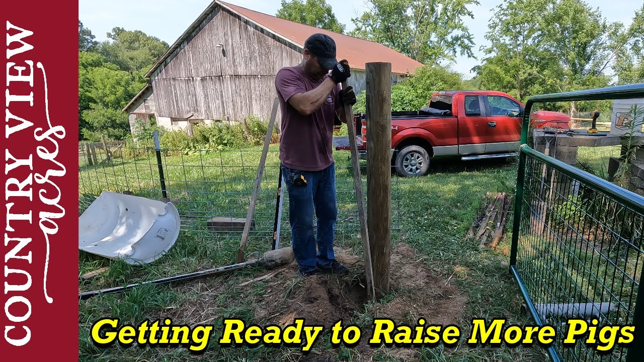 Getting ready for Feeder Pigs.  Starting project to expand Our Pig Pasture & Building a new Pig Pen