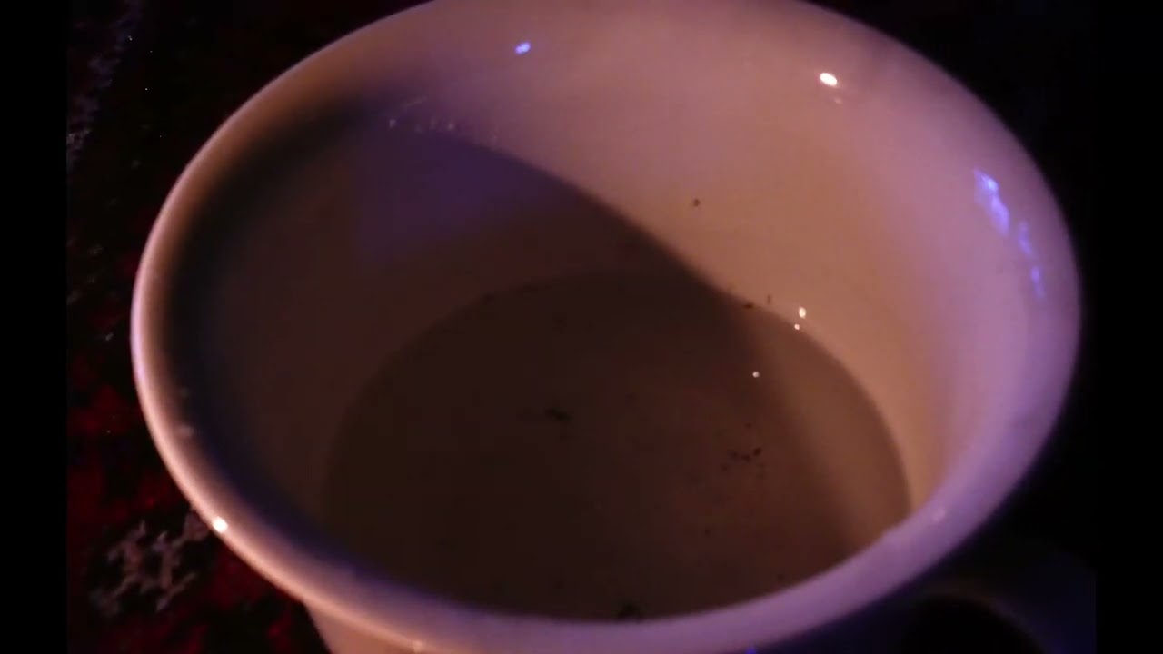 Propere lei - Noah Cabello eindwerk