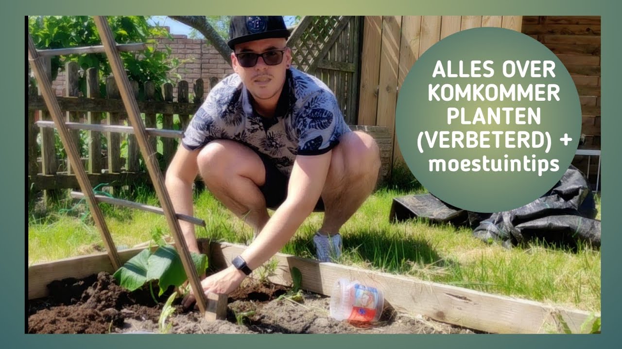 ALLES OVER KOMKOMMERS  2021 (verbeterde versie) + MOESTUINTIPS | HUIS, TUIN & CREA