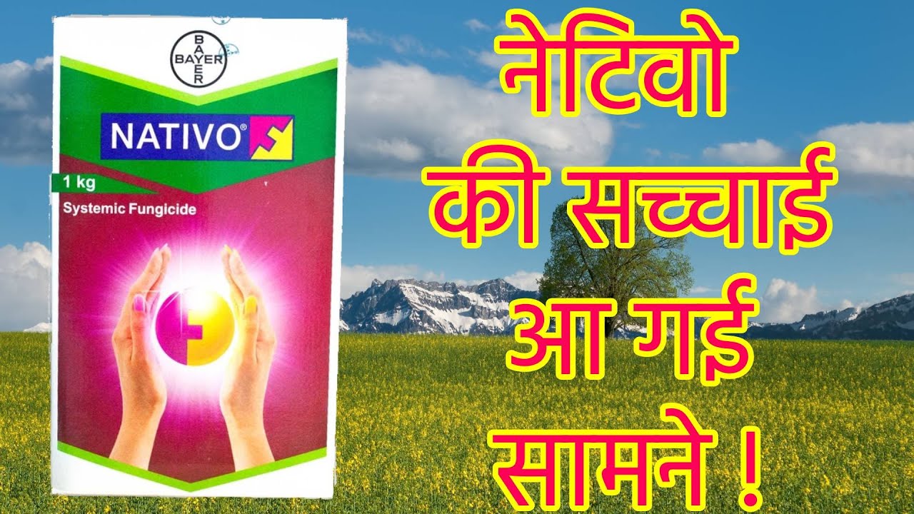 Нативо/тебуконазол+трифлоксистробин/фунгицид Байера