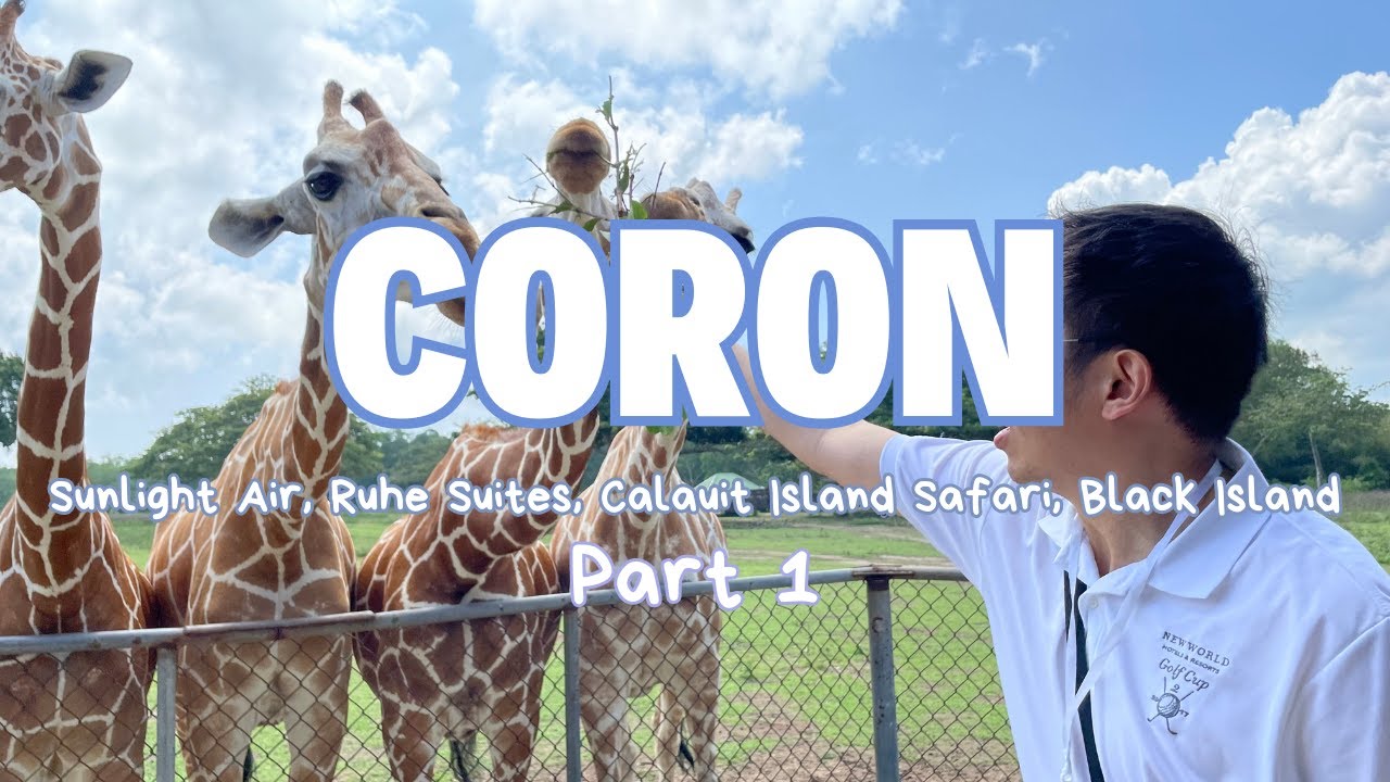Coron (Part 1): - Sunlight Air, Ruhe Suites, Calauit Island Safari. Black Island