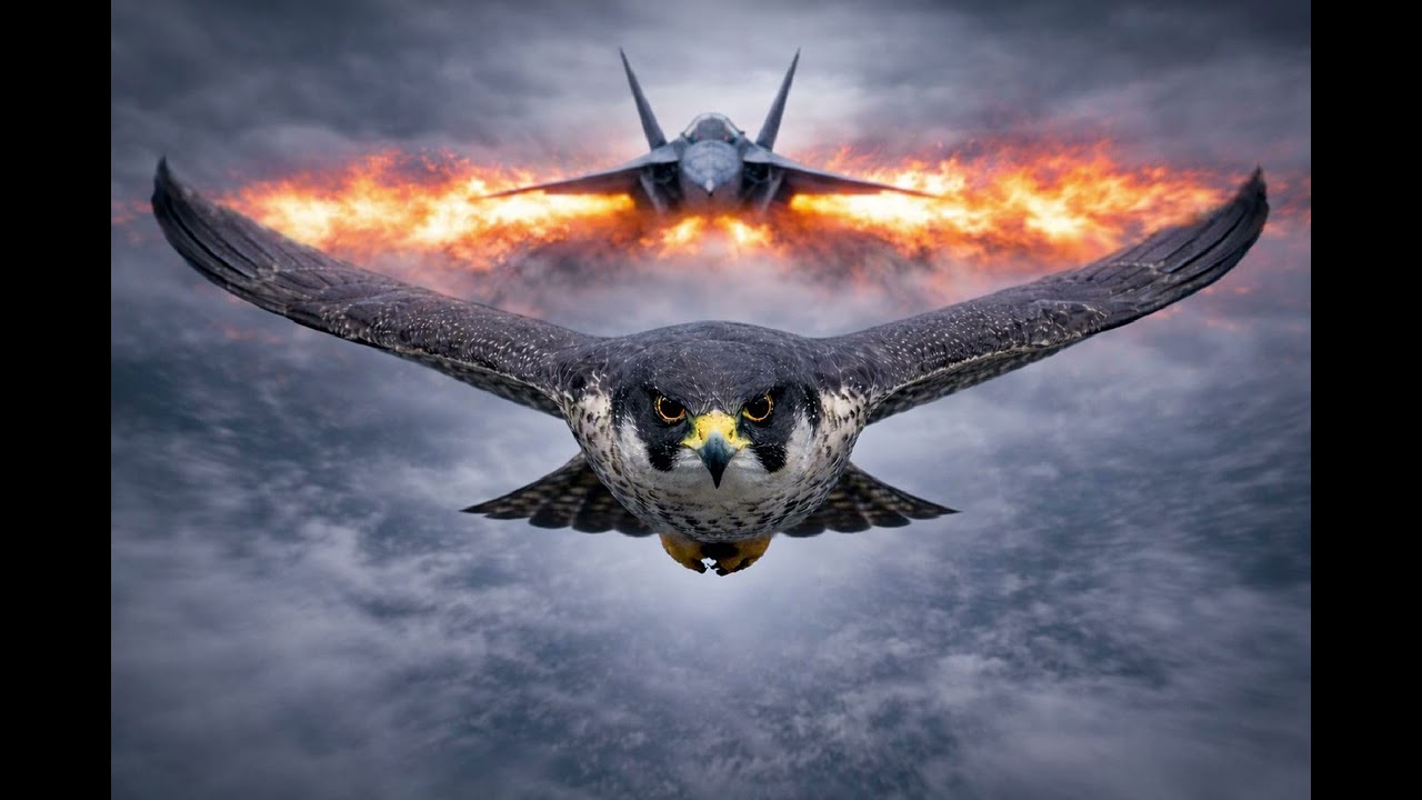 Bądź jak Hajabusa 🦅 | Prędkość • Precyzja • Dominacja (Rock / Electro)