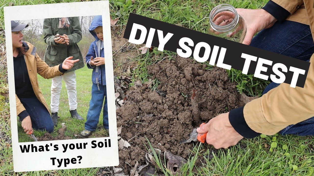 What Type of Soil Do I Have? DIY Soil Type Test