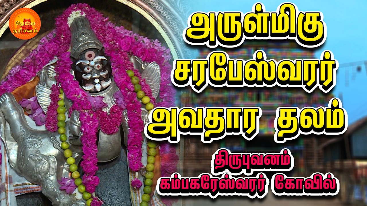 திருபுவனம் கம்பகரேஸ்வரர் கோவில் | Thirubuvanam Kampaheswarar | Kumbakonam | Deiva Darisanam