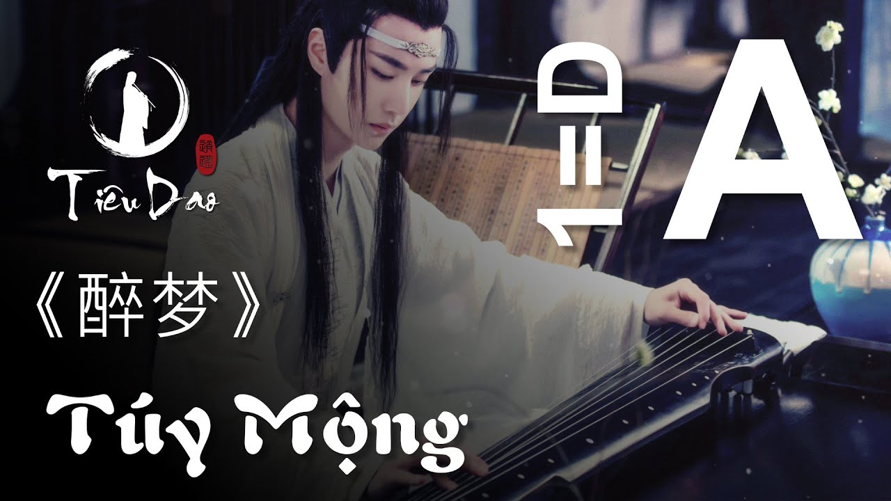 Cảm &acirc;m A T&Uacute;Y MỘNG《醉梦》伴奏 Drunken Dream Accompaniment | Ti&ecirc;u Dao