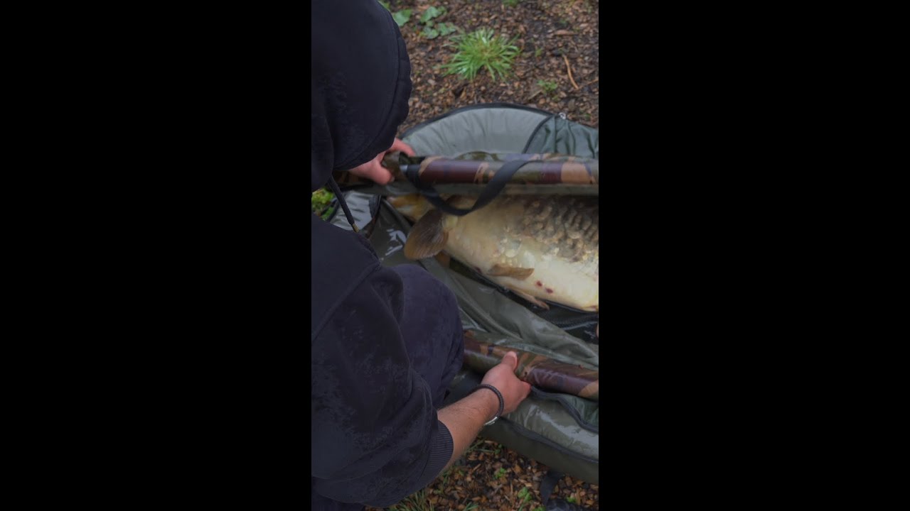 An epic fish in an epic location  😲