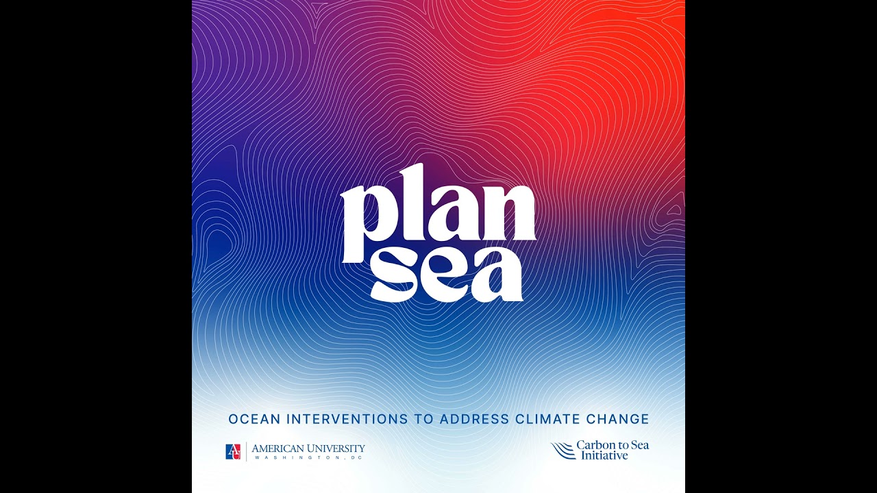 Hourglass Climate's Dr. Grace Andrews and Kristi Weighman on the launch of the Framework for Ecot...