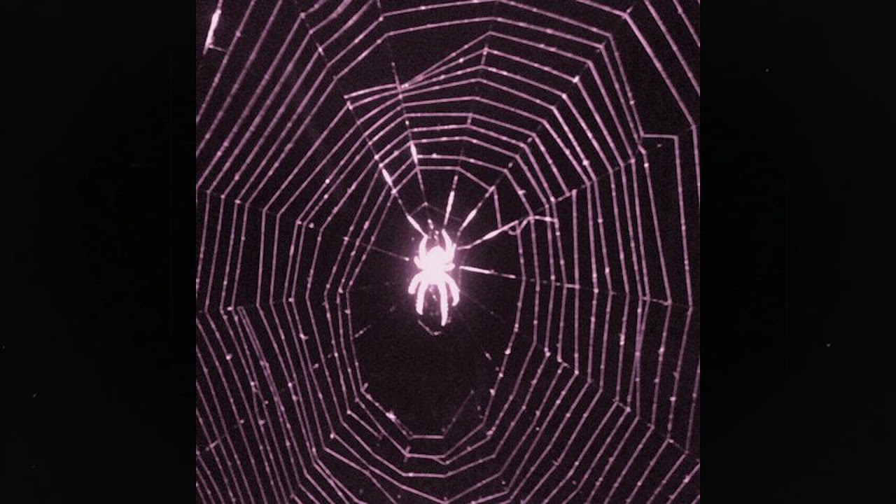 (free) alternative indie rock + grunge type beat ~ 