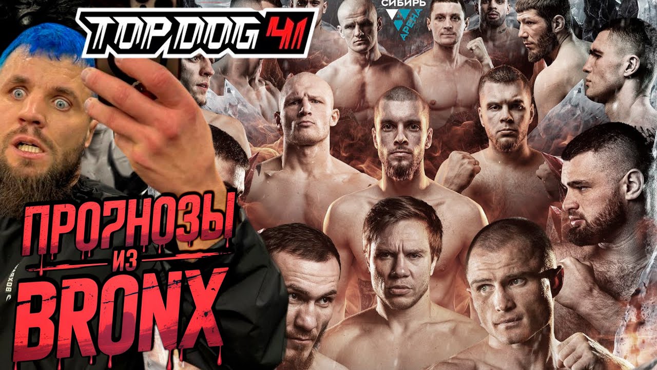 ПРОГНОЗЫ НА БОИ TOP DOG 41 ИЗ ЗАЛА BRONX
