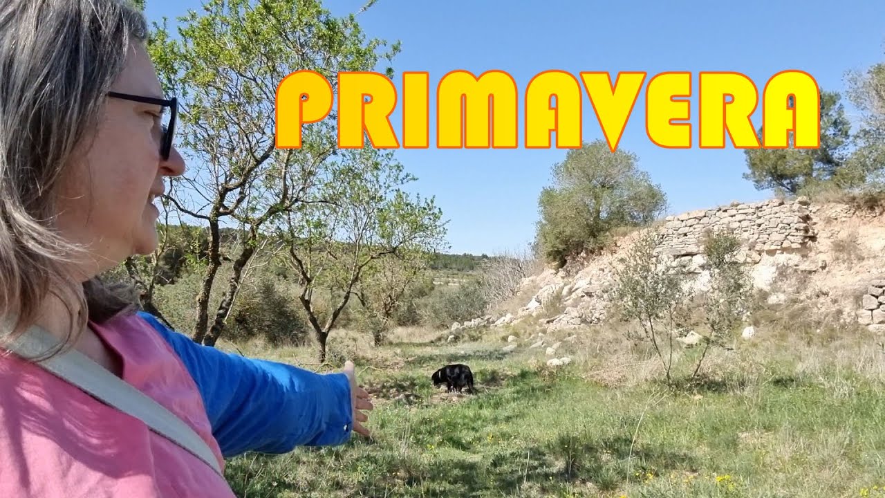Primavera en la finca 🌿🌺🌼