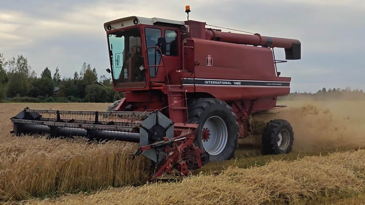 IH 1480 Axial-Flow puintia 2025 