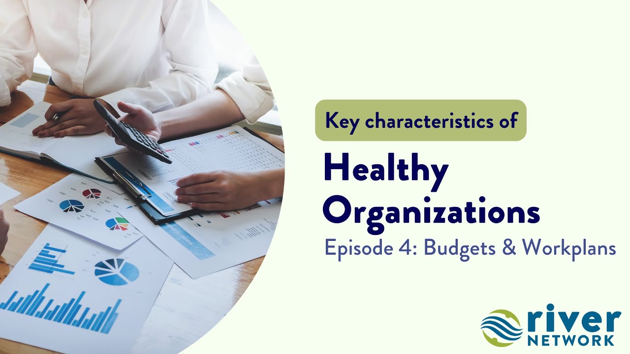 Healthy Organizations: Budgets & Workplans (Episode 4)