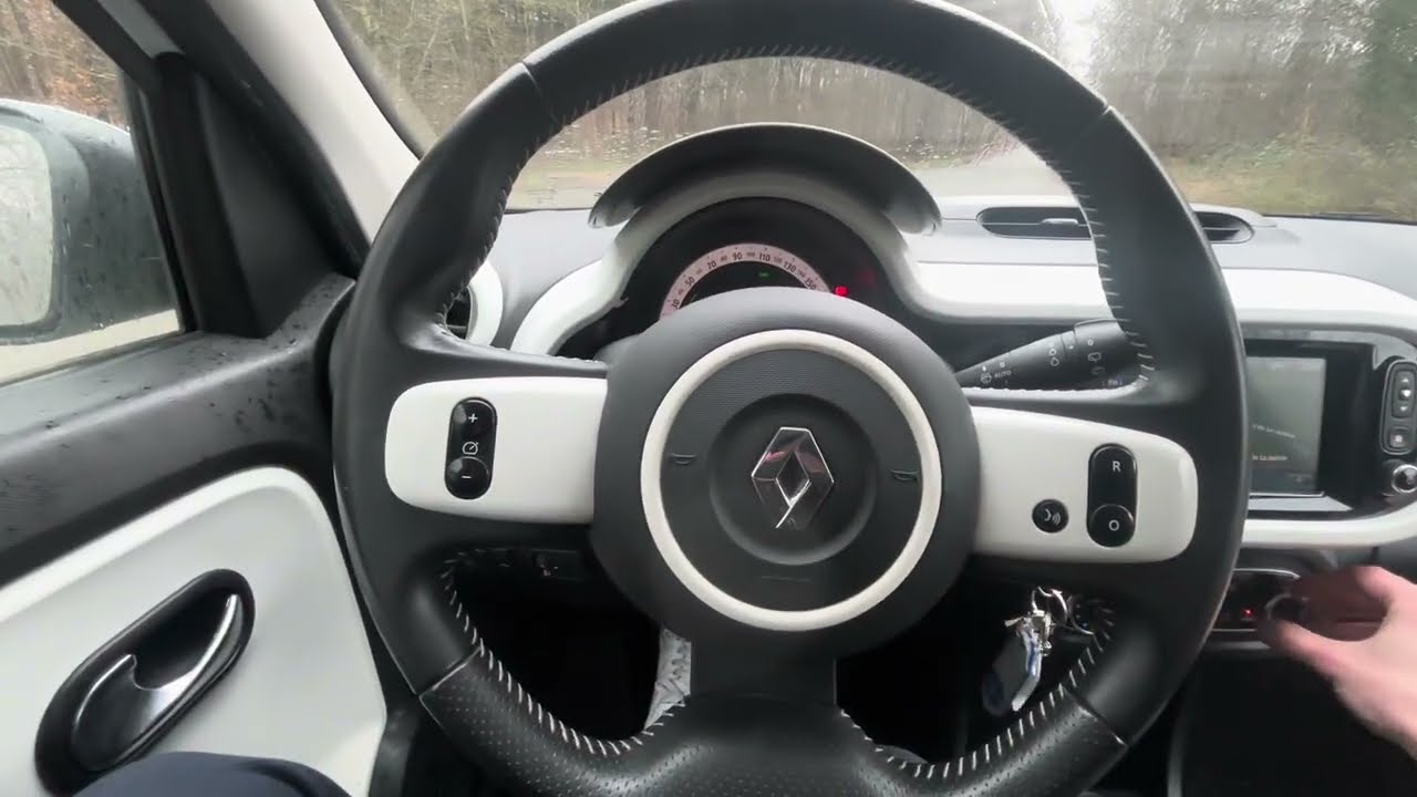 Présentation de cette superbe Twingo 