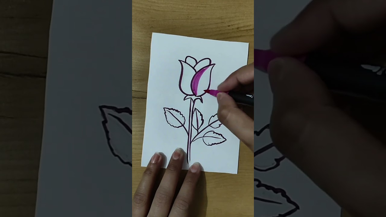 Easy way to draw a Rose