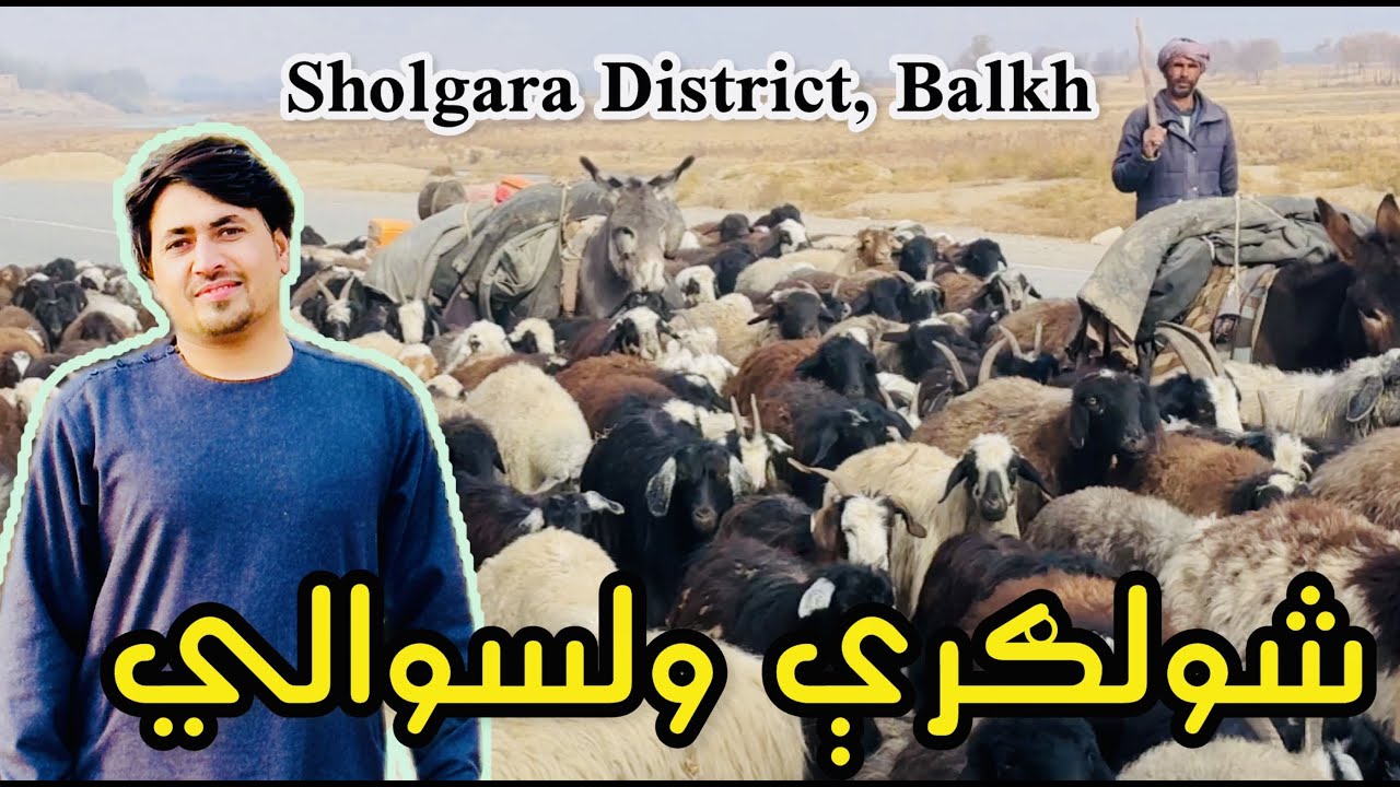 د بلخ د شولګرې ولسوالۍ ښکلا | زیبایی‌های ولسوالی شولگره بلخ | Sholgara District Balkh Afghanistan