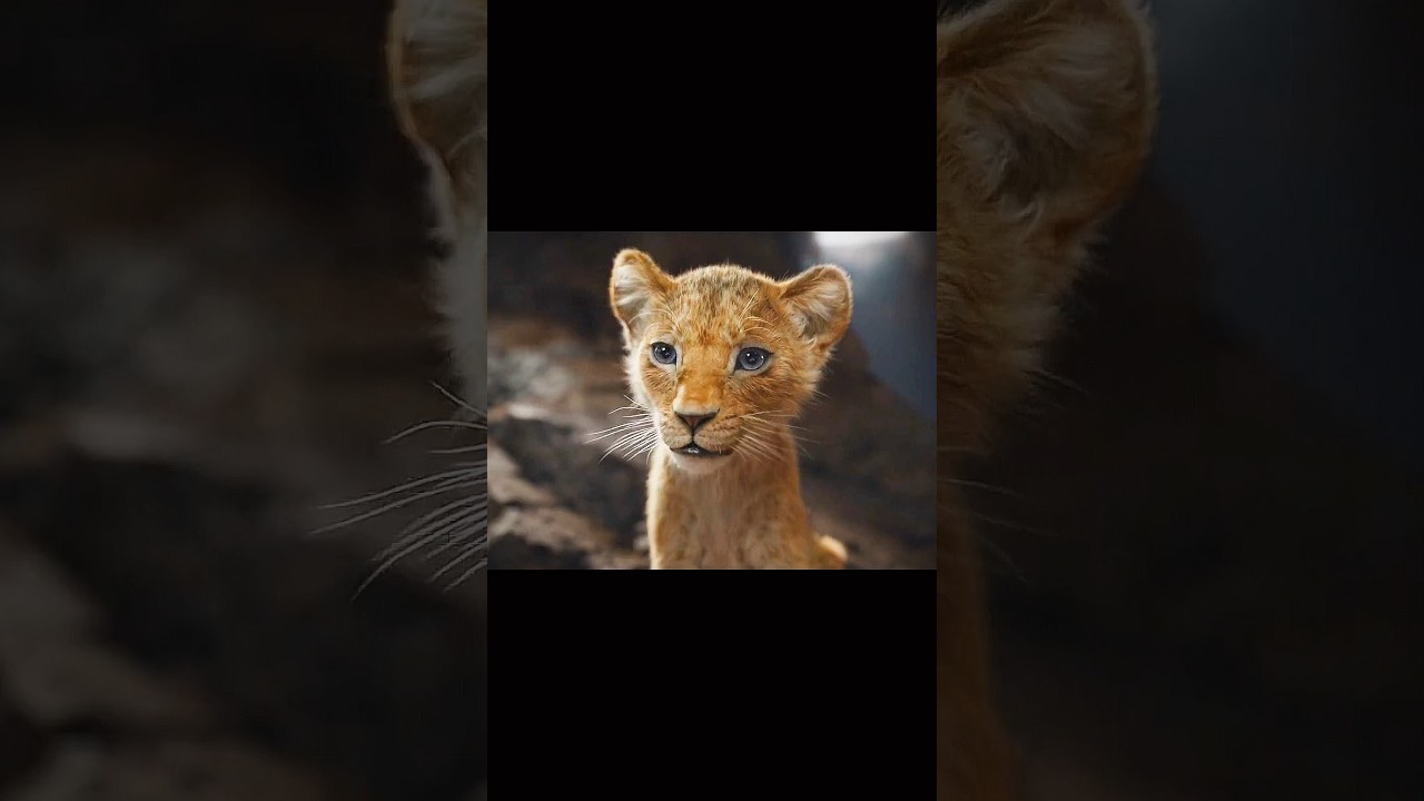 Mufasa Lion King epic 4K edit powerful scenes cinematic vibes emotions and legacy in ultra HD