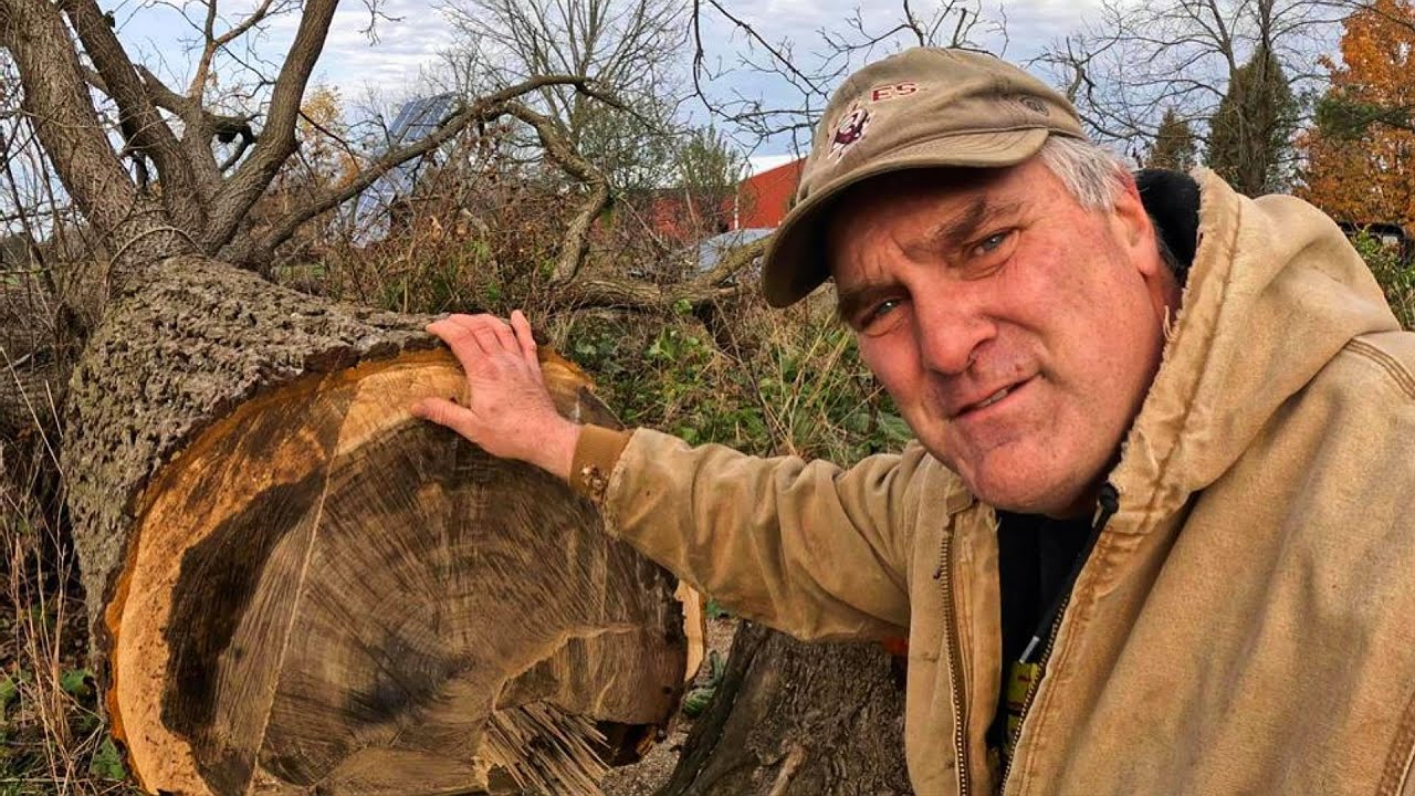 So Many Special Things in One Video