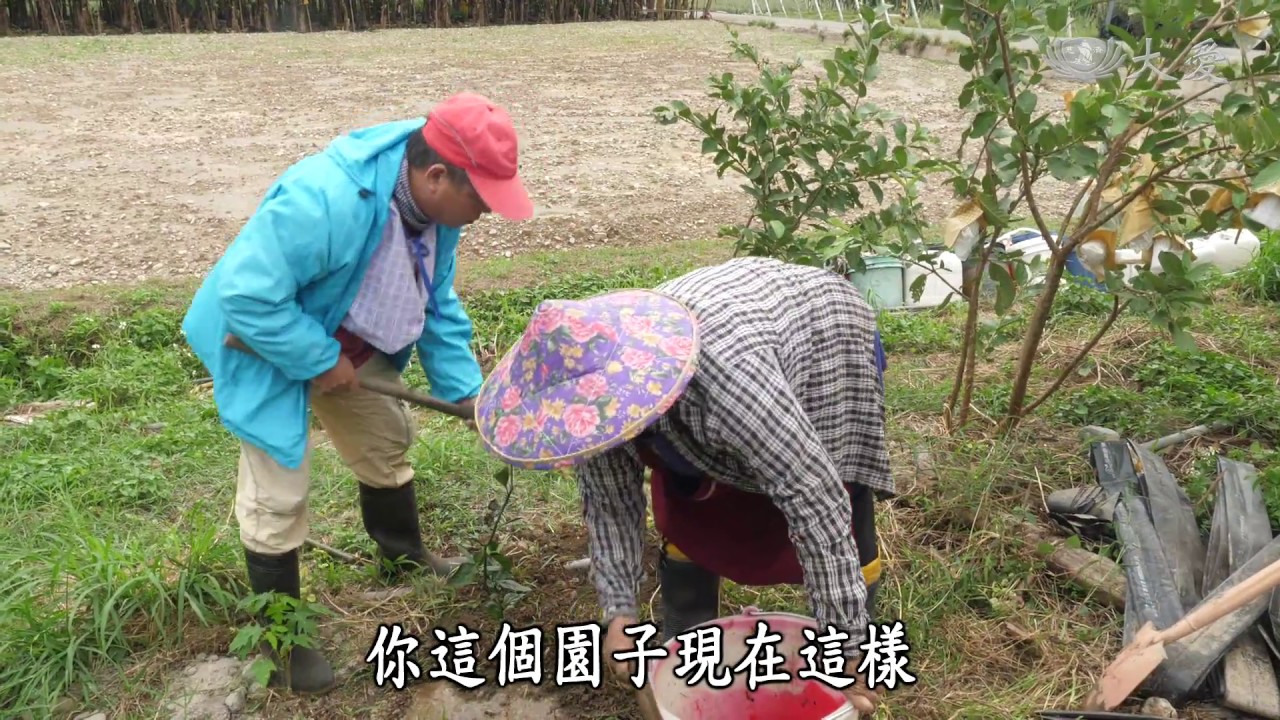 【農夫與他的田】20180330 - 回鄉作農的幸福嬤