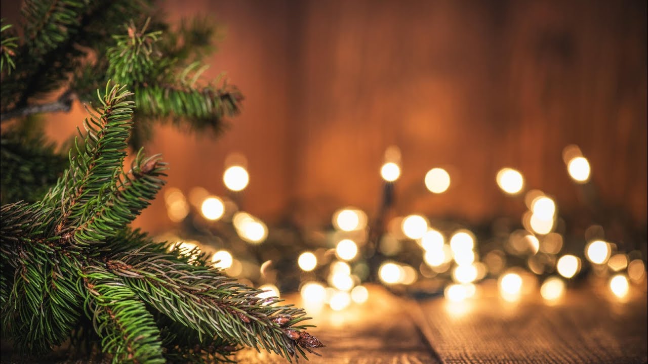 Ego Christmas Vines