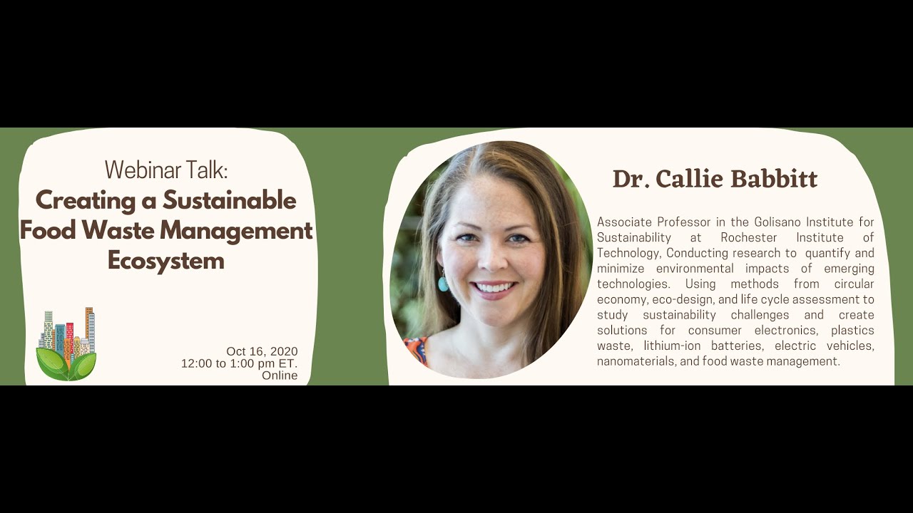 Creating a sustainable food waste management ecosystem