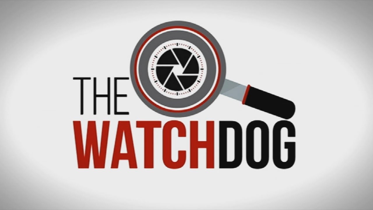 The Watchdog | Parliament's response to the Phala Phala farms saga: 30 August 2022
