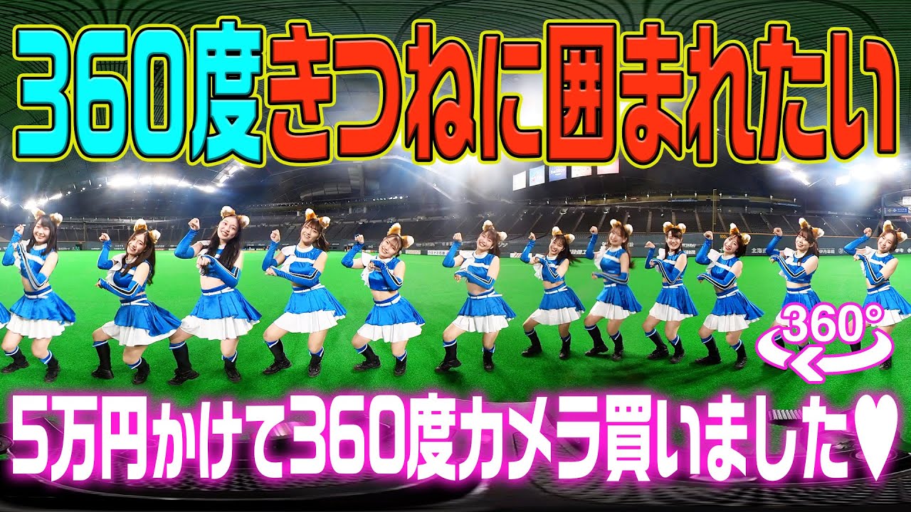 【360度きつね】一度、きつねダンスに囲まれてみます？【きつねキャンプファイア】