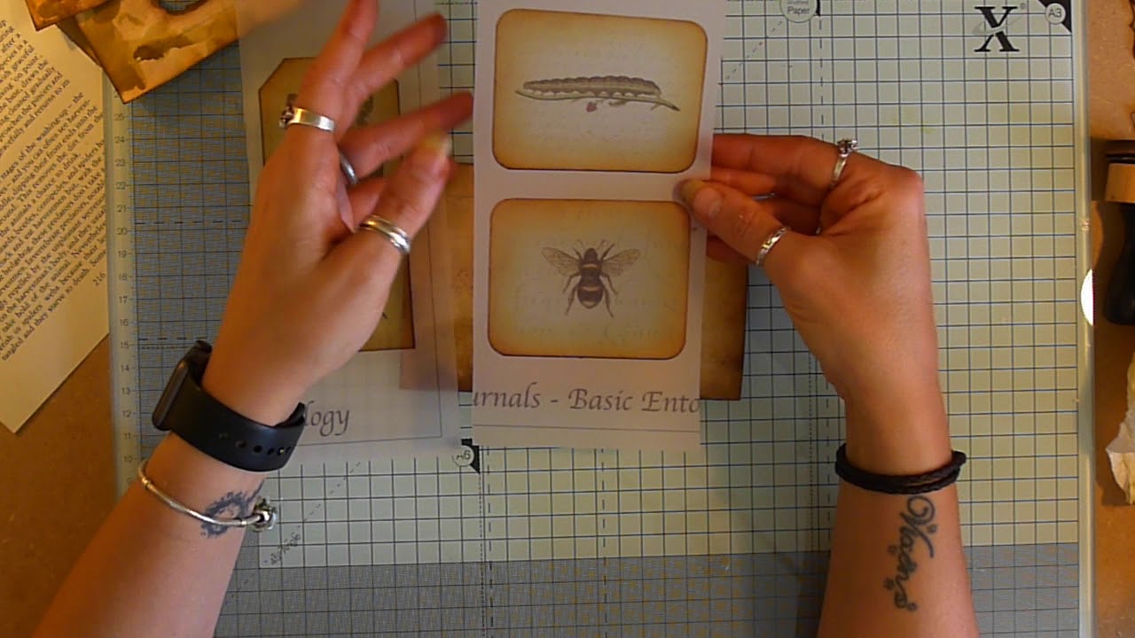 Quick Create: Window Index Cards Pockets and Envelopes