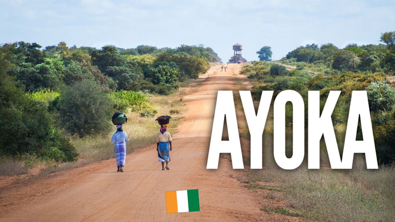 Au pays BÉTÉ  ❌ ❌