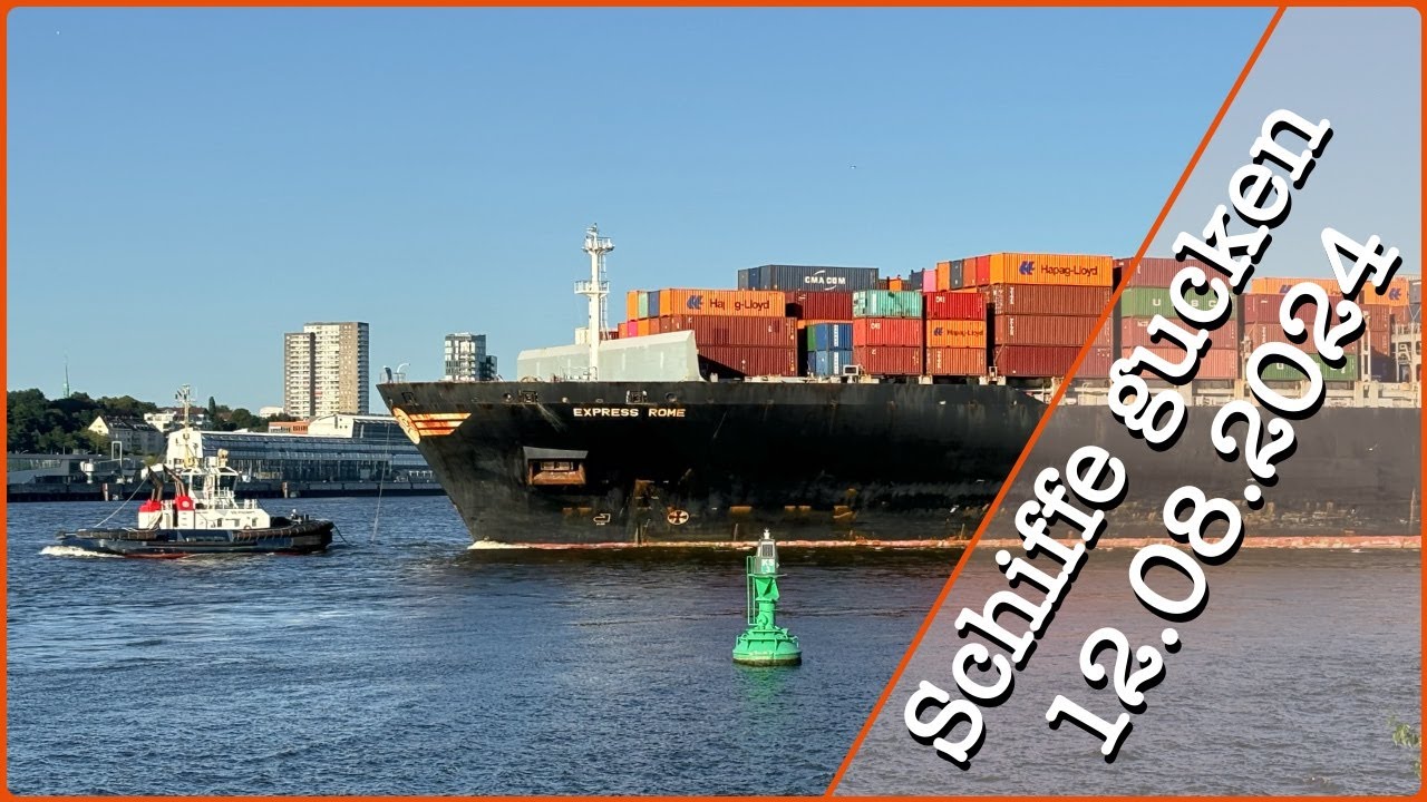 Schiffe gucken im Hamburger Hafen am 12.08.2024 - Live