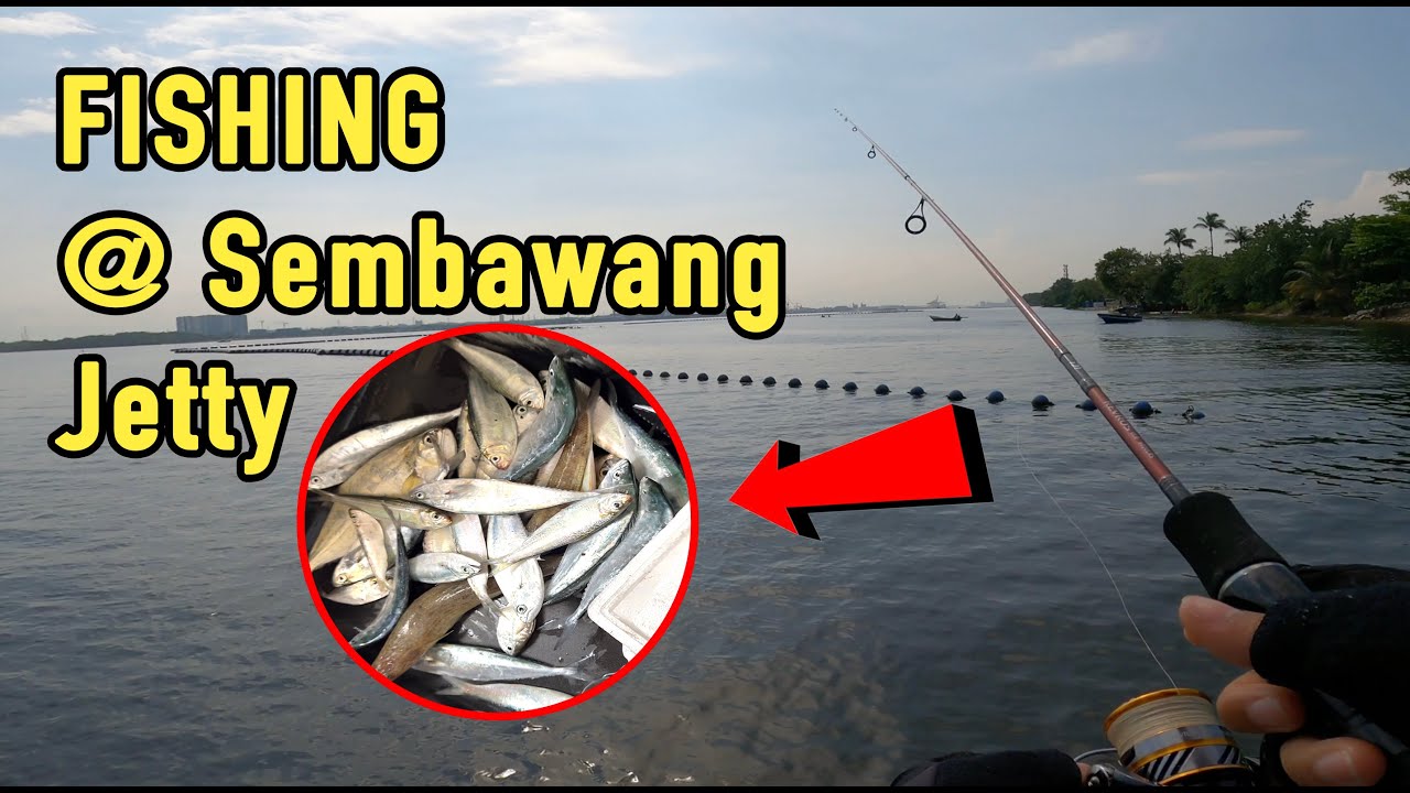 Caught all the fishes at Sembawang Jetty!! Singapore 4k