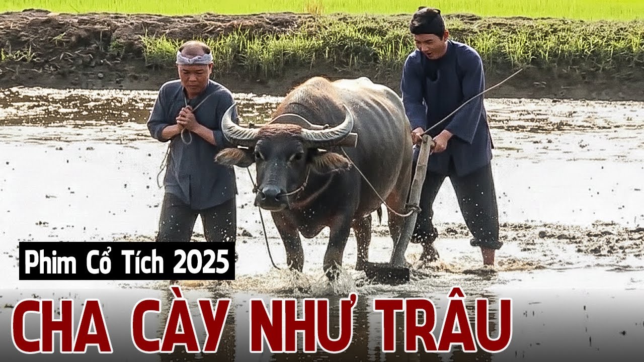 Phim Cổ Tích 2025 | CHA CÀY NHƯ TRÂU | Phim Truyện Cổ Tích 2025 | Cổ Tích Việt Nam 2025 | Cổ Tích