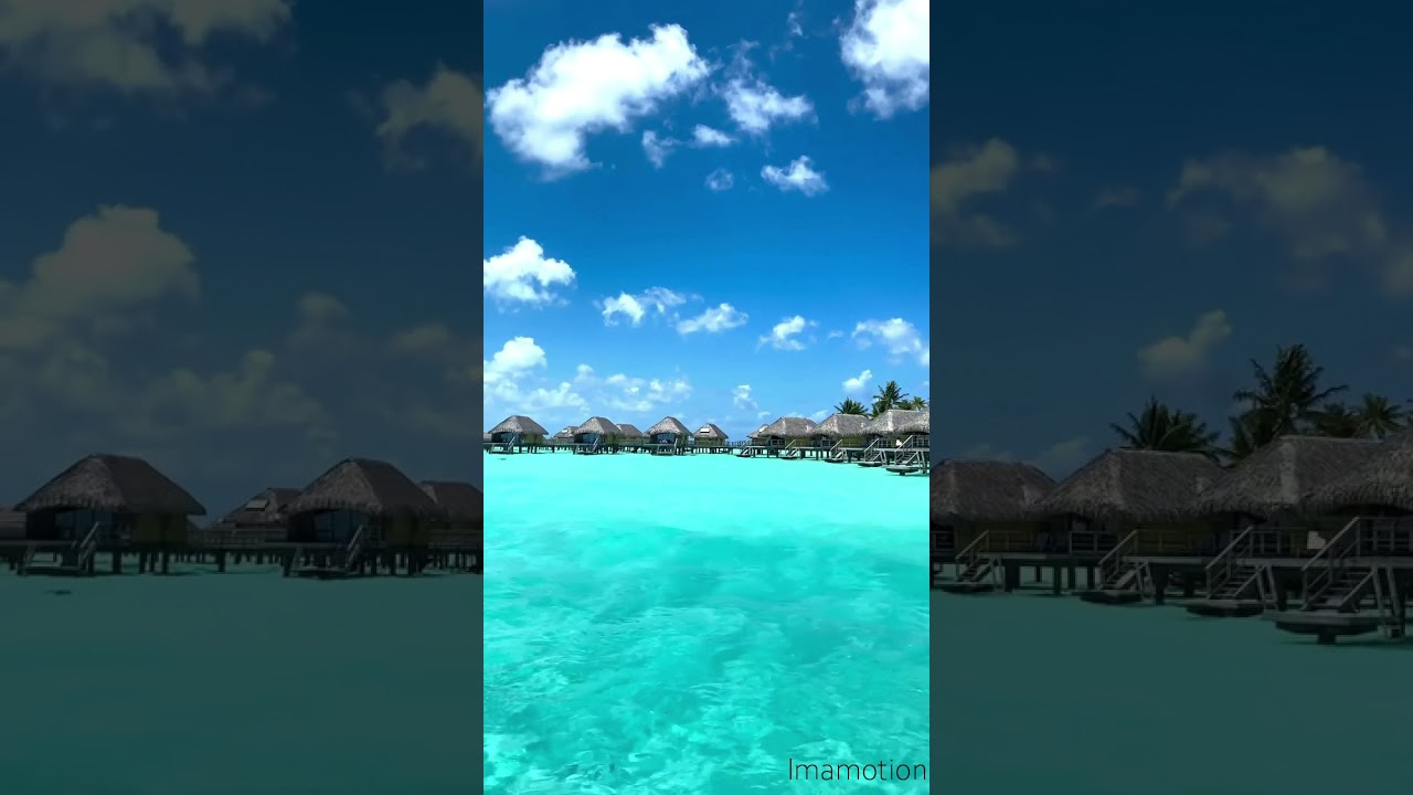 IMAM / Your inspiration #16 / #Maldives #motivation #Tiktok #Shorts #travel #imamotion