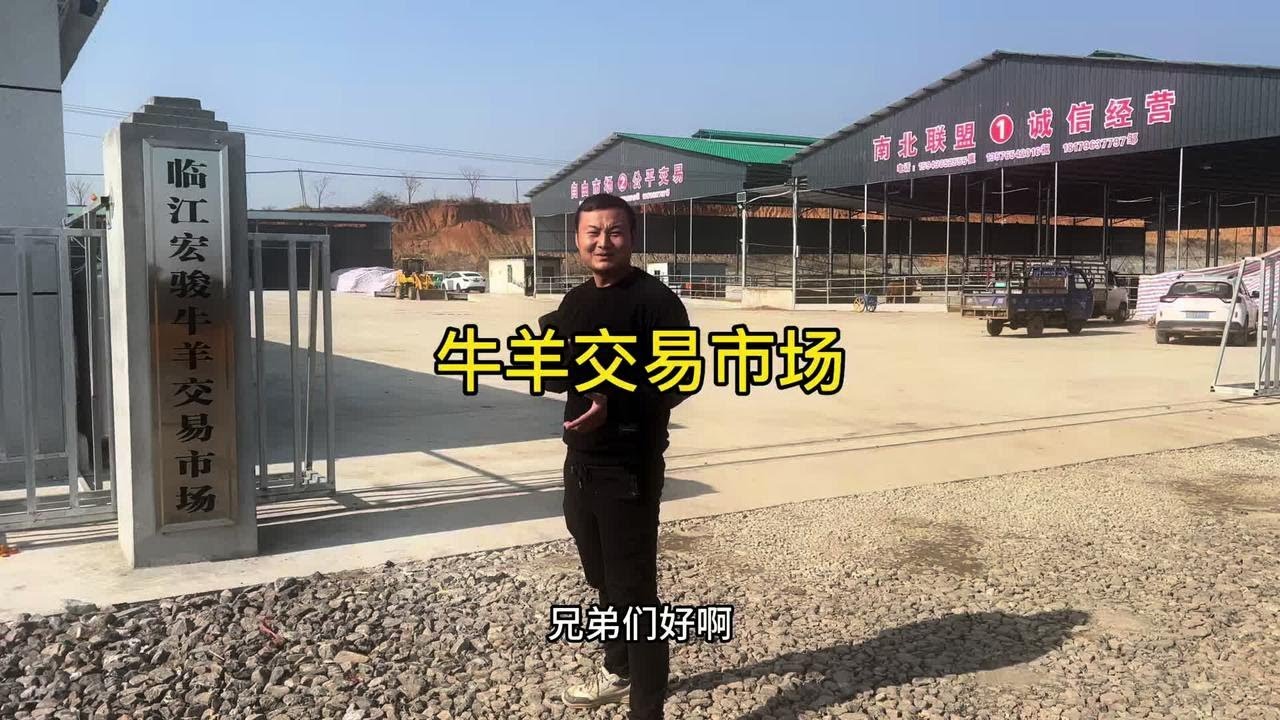 邀参观牛羊交易市场，这么多牛的品种，这价格怎么样？#养牛人