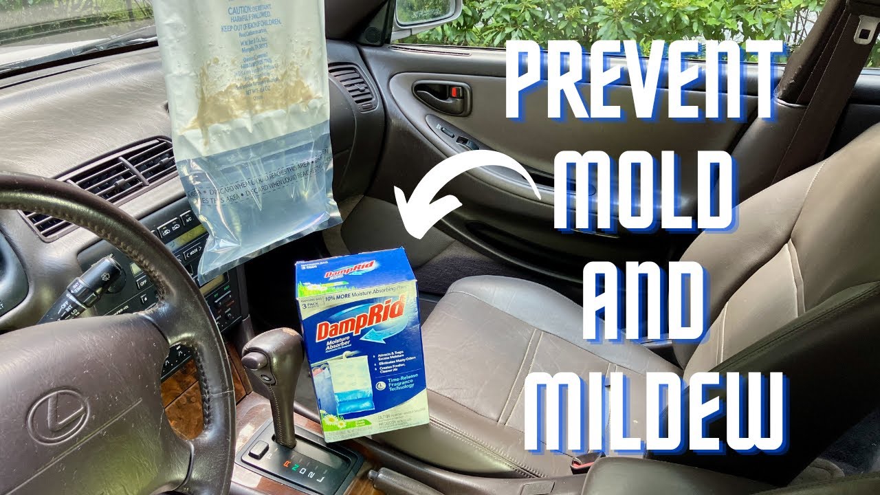 Damprid To Prevent Mold/Mildew In Stored Vehicle Interior (6 week test)
