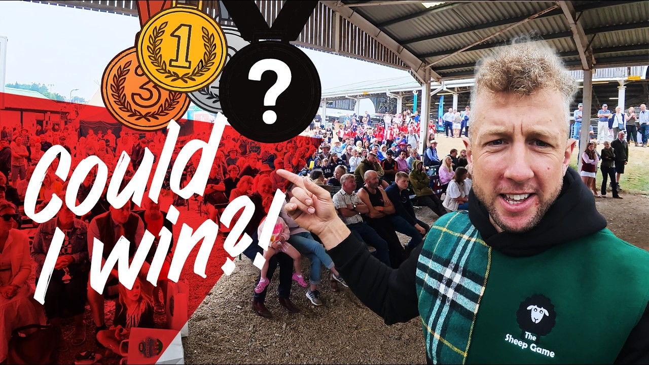 Стрижка овец на выставке Great Yorkshire Show!