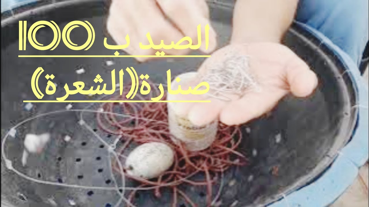 كل ما تحتاج باش تصيد بي (100) صنارة (الشعرة) بطريقة احترافية فوق الماء  بالتفاصيل