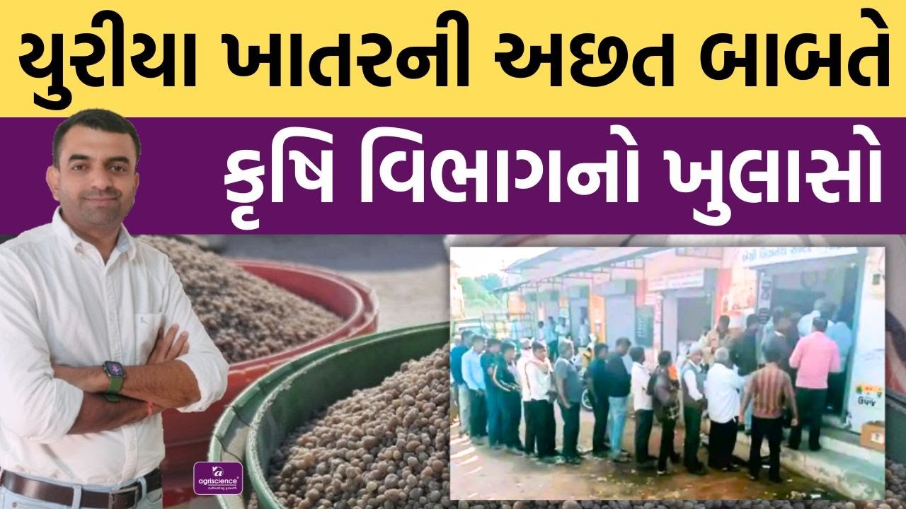 યુરીયા તંગી બાબતે કૃષિ વિભાગનો ખુલાસો | Urea | Agriscience